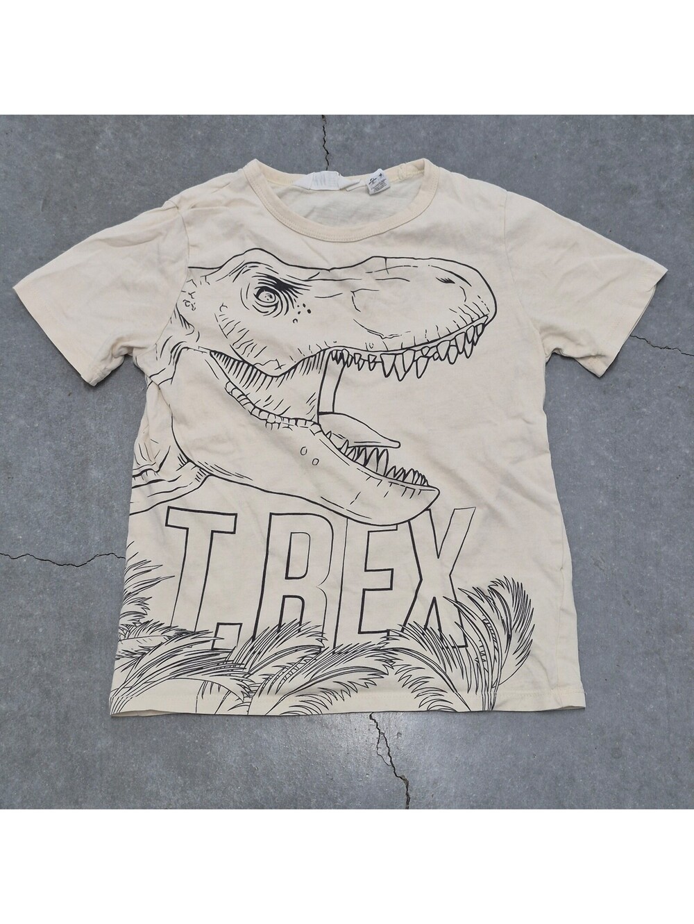 H&M Kids Boys T Rex T Shirt